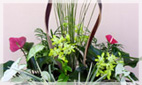 Dial a Flower Planters & Live Plant Arrangements